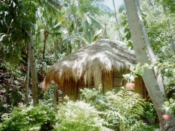 apo-island-kan-upi-grove-bungalow